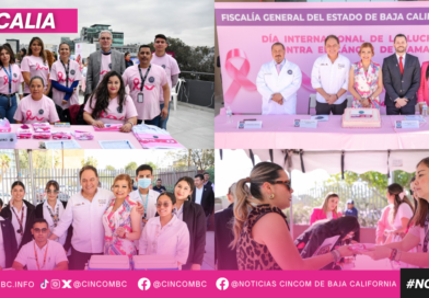 ENCABEZA FISCAL MA. ELENA ANDRADE RAMÍREZ ACTIVIDADES PARA LA PREVENCIÓN Y COMBATE DEL CÁNCER DE MAMA