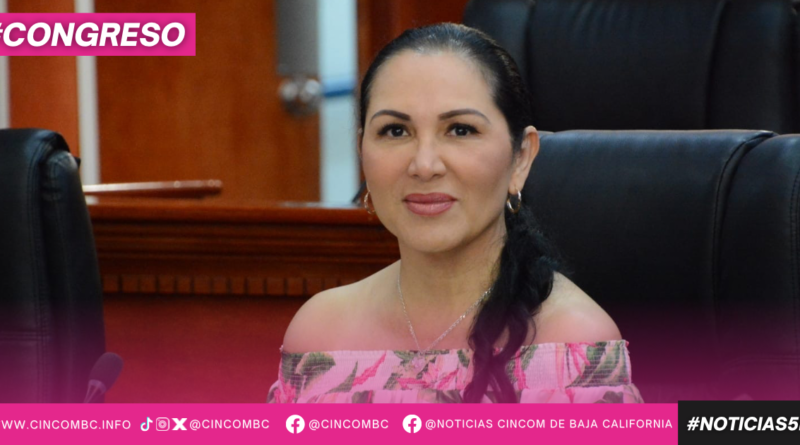 PROPONE DIPUTADA ARACELI GERALDO FORTALECER MECANISMO DE INICIATIVA CIUDADANA