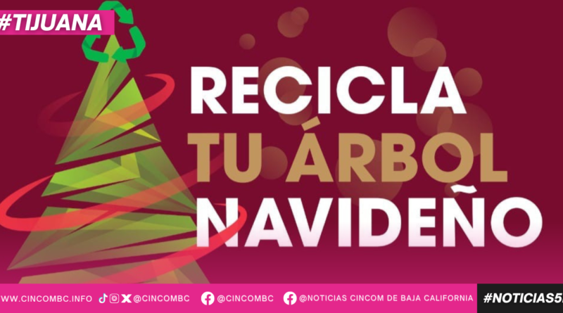 ANUNCIA XXV AYUNTAMIENTO DE TIJUANA CAMPAÑA DE ACOPIO DE ÁRBOLES NAVIDEÑOS