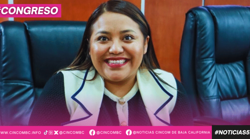 NOMBRAMIENTO DE PRIMER INDÍGENA COMO MINISTRO PRESIDENTE DE LA SCJN ES UN RECONOCIMIENTO A TODAS LAS COMUNIDADES: DIPUTADA EVELYN SÁNCHEZ