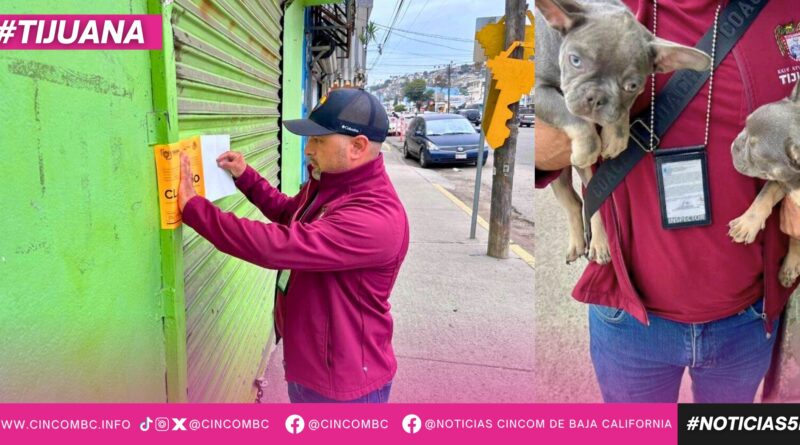 Rescata Gobierno Municipal a dos caninos que intentaban ser comercializados