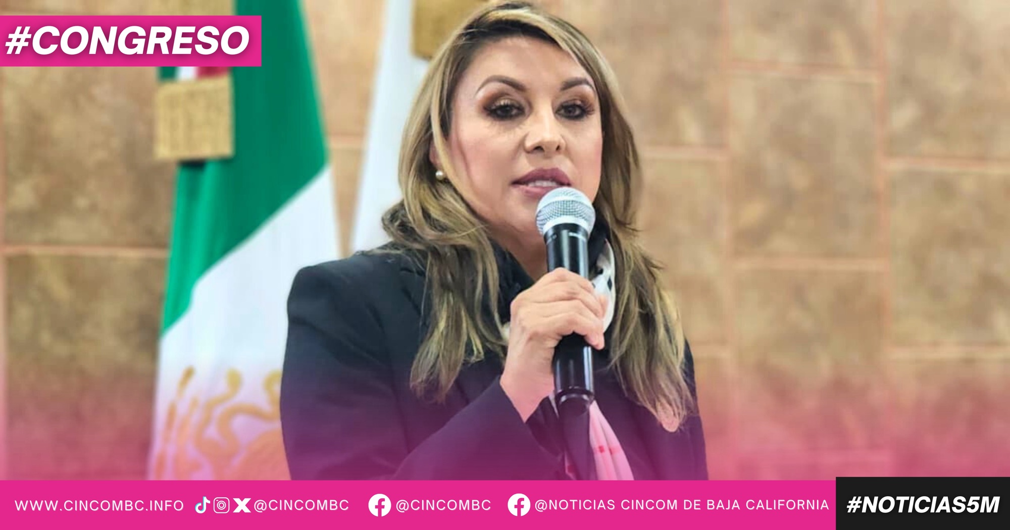 AVANCE HISTÓRICO LA APROBACIÓN DE NUEVA LEY GENERAL CONTRA LA EXTORSIÓN: DIP. ANGÉLICA PEÑALOZA