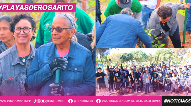 10° Ayuntamiento de Playas de Rosarito fortalece espacios públicos con Jornada de Tequios en el Parque Conchita Cantú 10° Ayuntamiento de Playas de Rosarito fortalece espacios públicos con Jornada de Tequios en el Parque Conchita Cantú