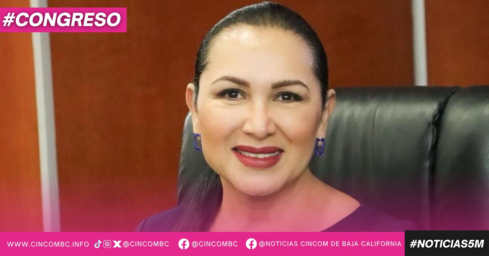 IMPULSA DIPUTADA ARACELI GERALDO REFORMA PARA REFORZAR ORGANISMOS CIUDADANOS EN LOS MUNICIPIOS