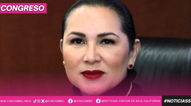 EXHORTA DIPUTADA ARACELI GERALDO A GARANTIZAR MAYOR TRANSPARENCIA EN APLICACIÓN DE MULTAS DE TRÁNSITO