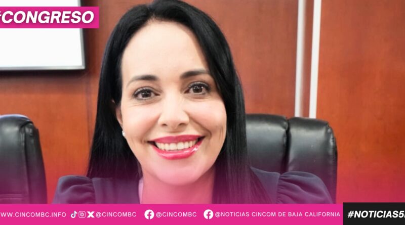 PRESENTA DIPUTADA MAYOLA GAONA SU POSTURA RELATIVA A LA ATENCIÓN DE JÓVENES EN RIESGO Y PREVENCIÓN DEL DELITO