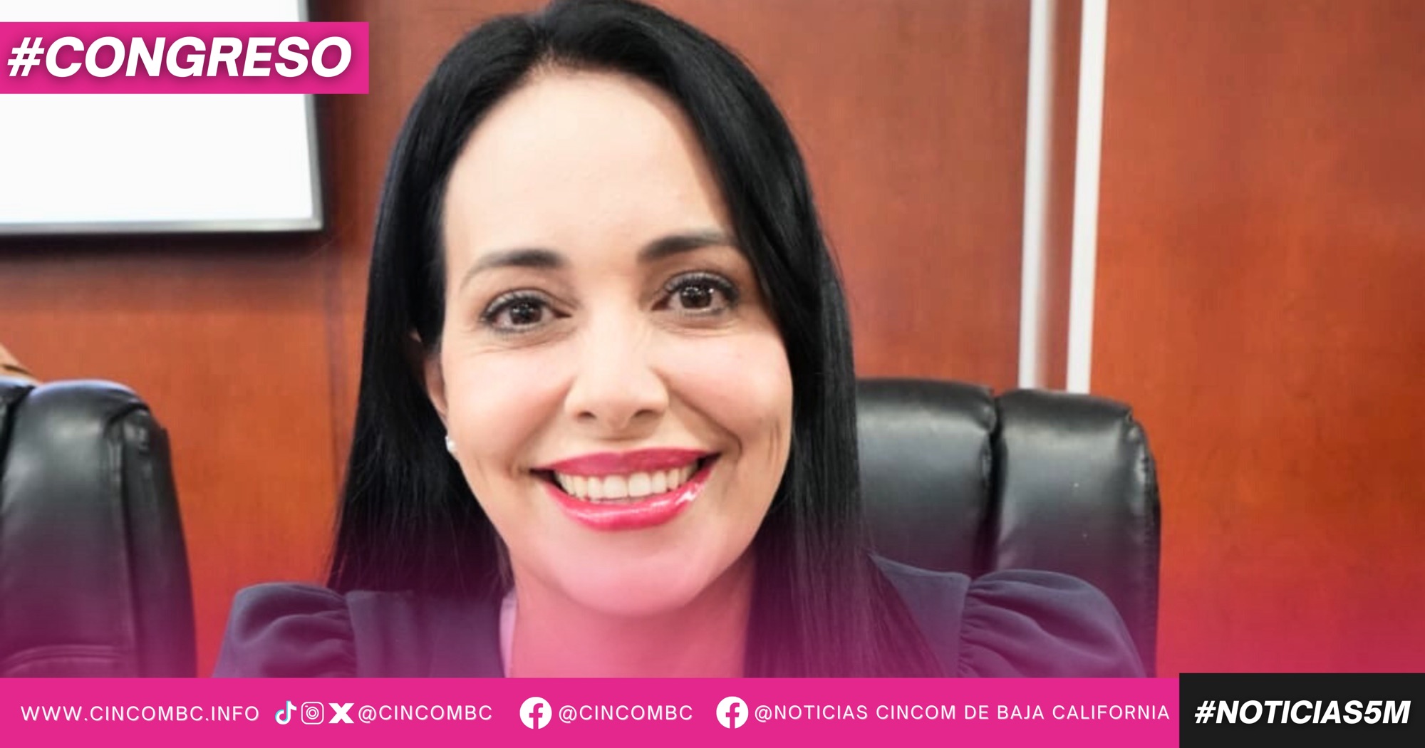 PRESENTA DIPUTADA MAYOLA GAONA SU POSTURA RELATIVA A LA ATENCIÓN DE JÓVENES EN RIESGO Y PREVENCIÓN DEL DELITO