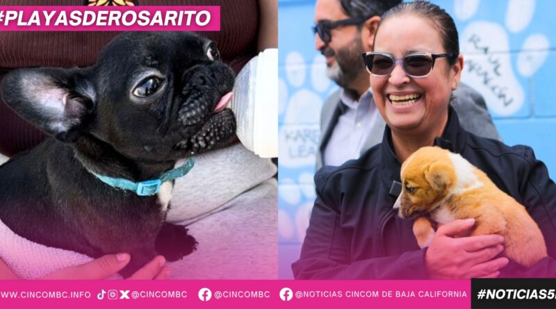 Gobierno Municipal de Playas de Rosarito refuerza programas de bienestar animal con jornada de vacunación