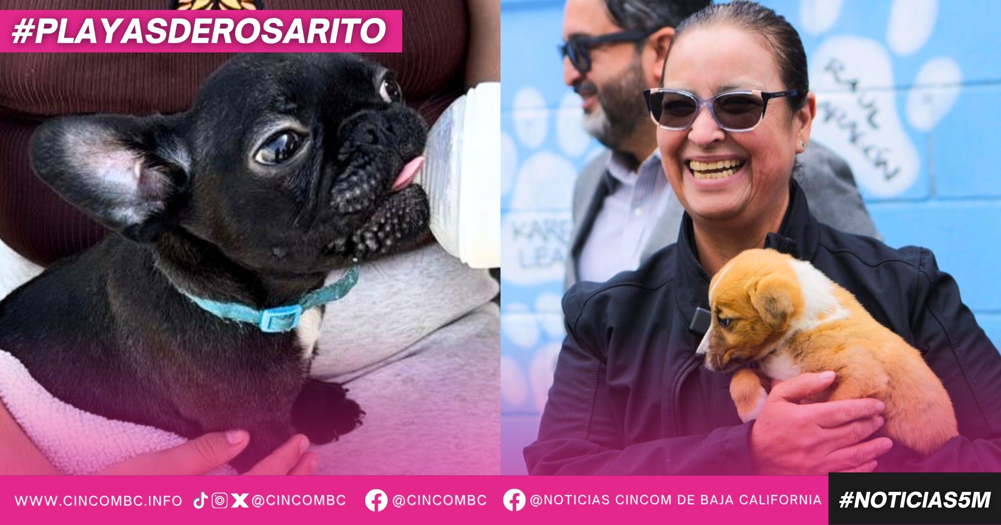 Gobierno Municipal de Playas de Rosarito refuerza programas de bienestar animal con jornada de vacunación