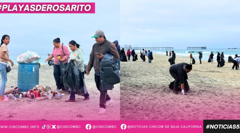 Realiza ZOFEMAT jornada de limpieza en playas tras alta afluencia ciudadana durante el fin de semana Realiza ZOFEMAT jornada de limpieza en playas tras alta afluencia ciudadana durante el fin de semana
