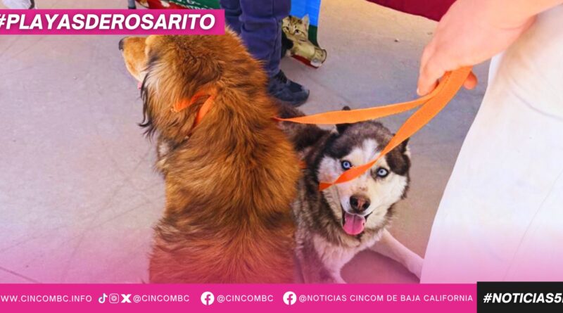 Fortalece Gobierno de Playas de Rosarito acciones en control y bienestar animal