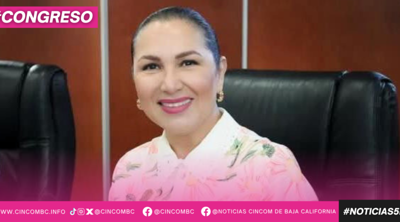 IMPULSAN REFORMA PARA GARANTIZAR VALIDEZ DE LICENCIAS Y TARJETAS DE CIRCULACIÓN DIGITALES EN BAJA CALIFORNIA