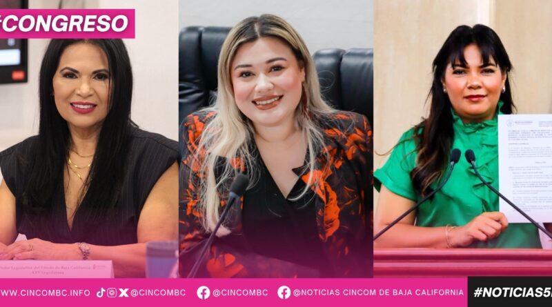 EXHORTAN A LA FISCALÍA RESPONDER A COLECTIVOS DE BÚSQUEDA E INFORMAR LAS ACCIONES REALIZADAS