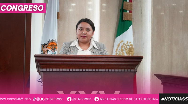 DIPUTADA EVELYN SÁNCHEZ PROPONE GARANTIZAR LA PROTECCIÓN JURÍDICA DE LOS TEXTILES INDÍGENAS