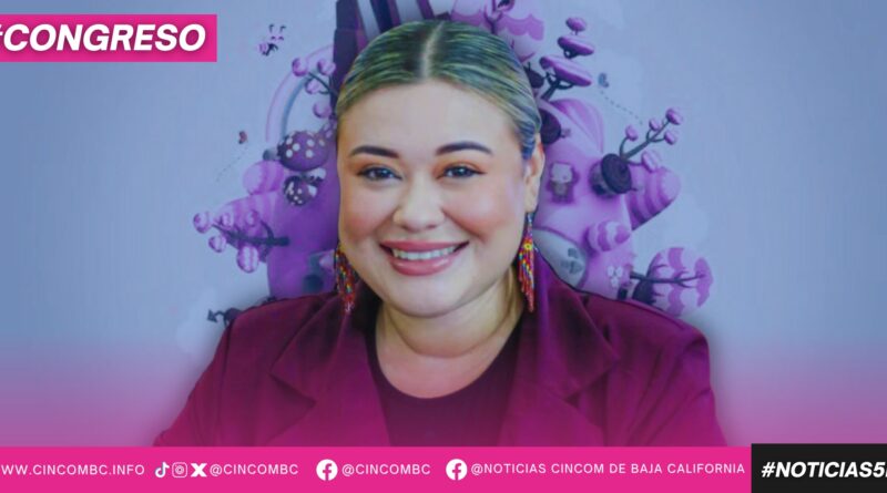 INSTA DIP. MICHELLE TEJEDA A AYUNTAMIENTO DE MEXICALI A REFORZAR CAMPAÑAS Y SANCIONE