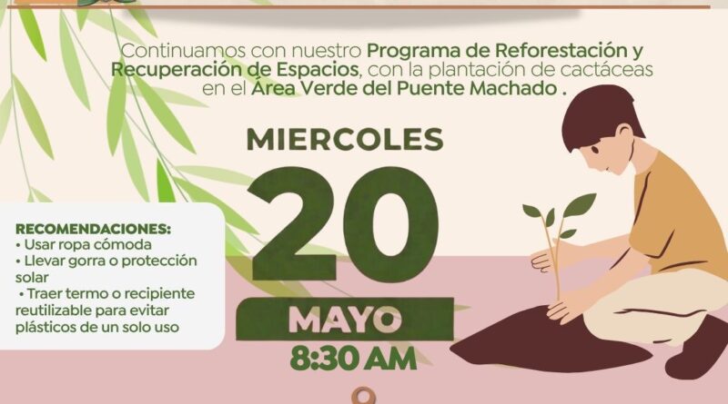 Impulsa Gobierno de Playas de Rosarito programa de reforestación y recuperación de espacios públicos