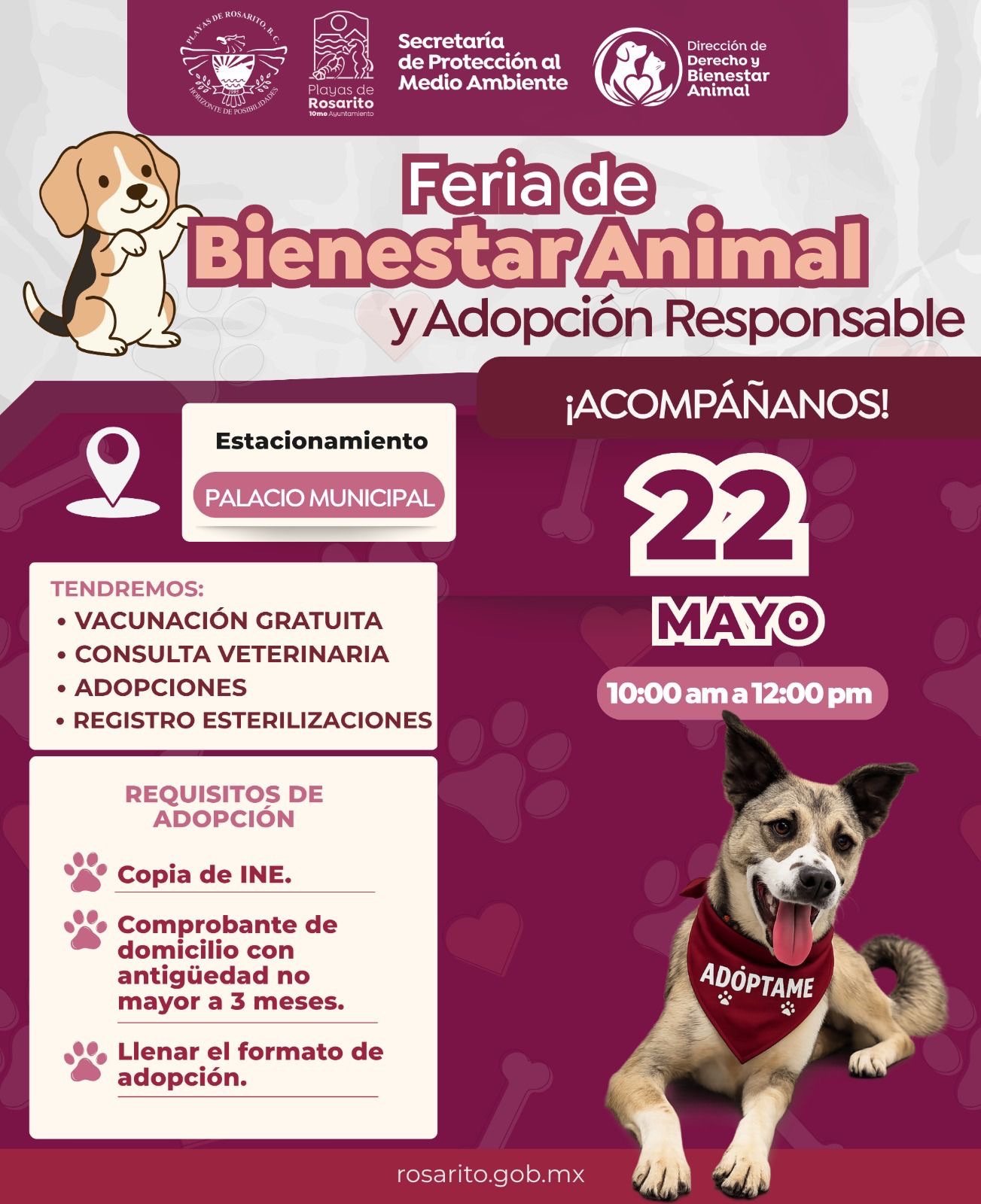 Invita Gobierno de Playas de Rosarito a Feria de Bienestar Animal y Adopción Responsable