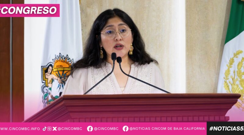 EXIGE MICHEL SÁNCHEZ REVISIÓN URGENTE A SISTEMAS DE PROTECCIÓN INFANTIL EN BC TRAS CASO «VICENTITO»