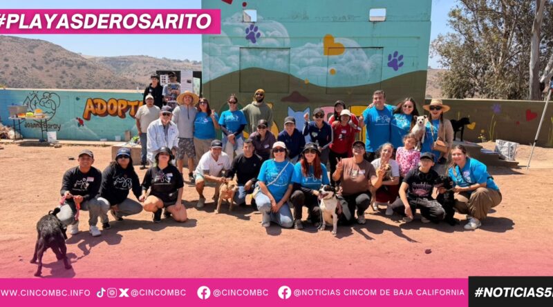 Promueve Gobierno de Playas de Rosarito el bienestar animal mediante paseos recreativos con voluntariado