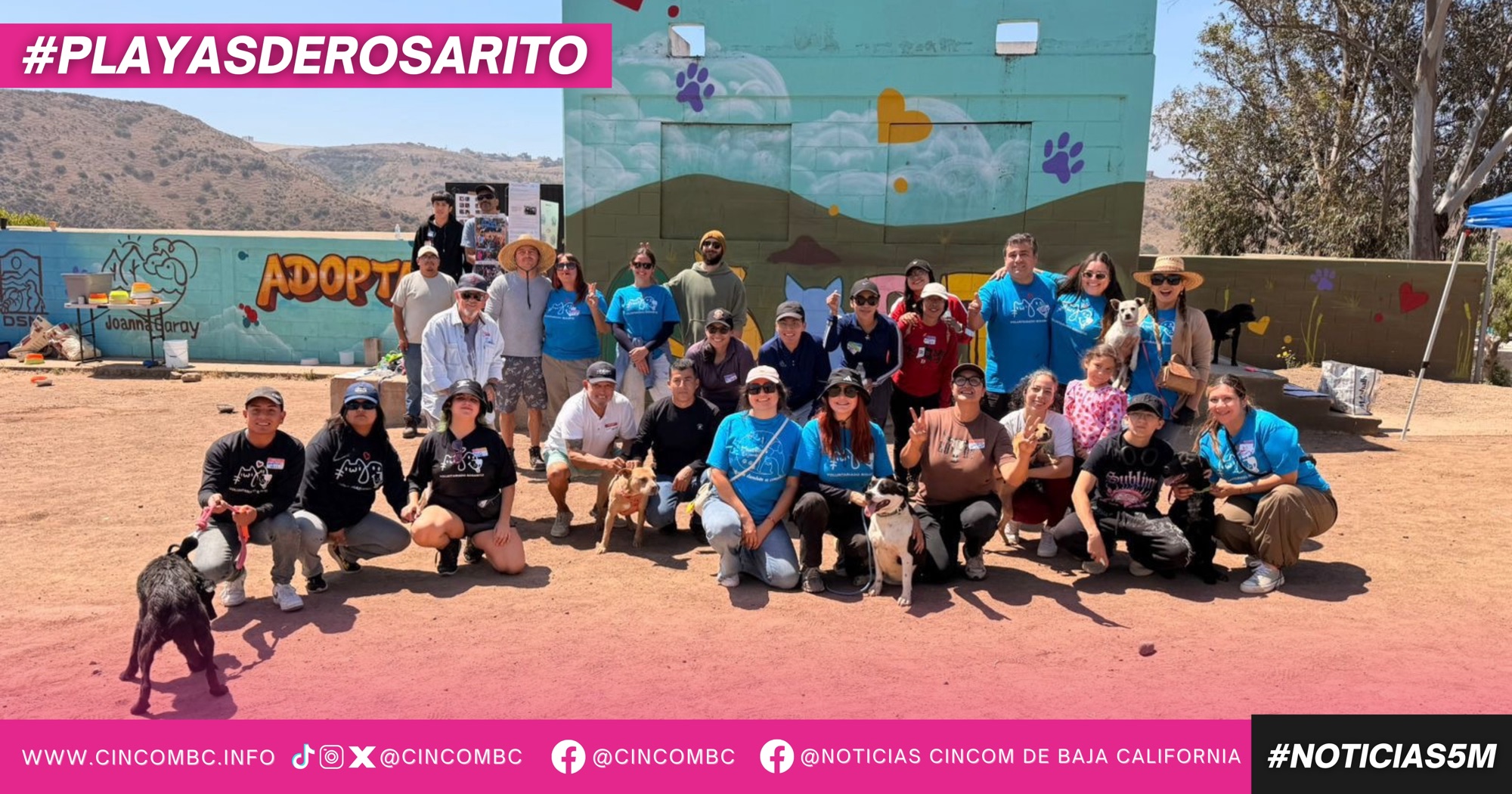 Promueve Gobierno de Playas de Rosarito el bienestar animal mediante paseos recreativos con voluntariado