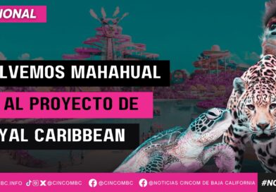 SALVEMOS MAHAHUAL, NO AL PROYECTO DE ROYAL CARIBBEAN