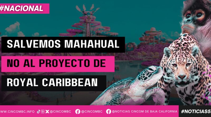 SALVEMOS MAHAHUAL, NO AL PROYECTO DE ROYAL CARIBBEAN