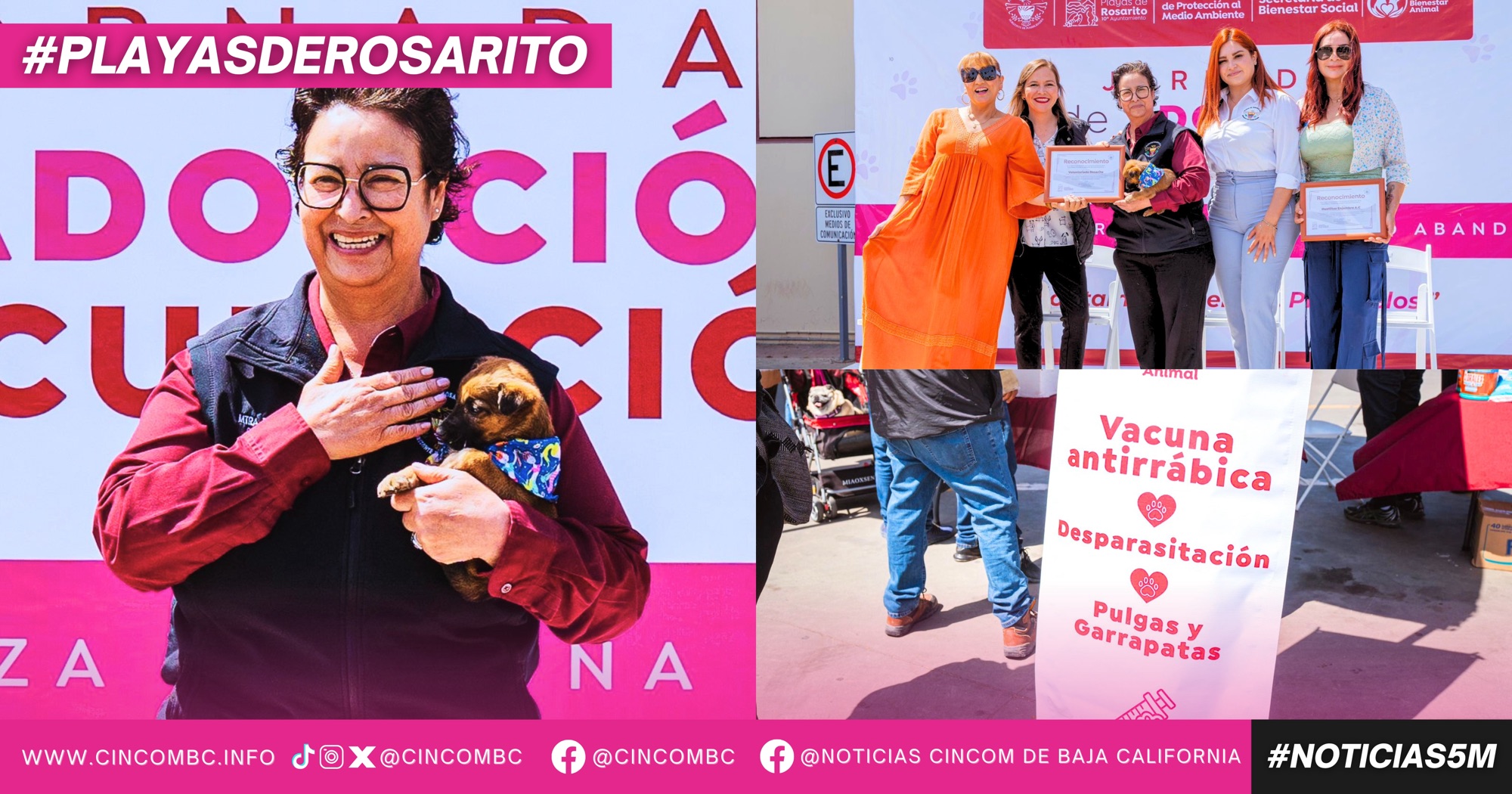 Impulsa Gobierno de Playas de Rosarito la adopción responsable y el bienestar animal