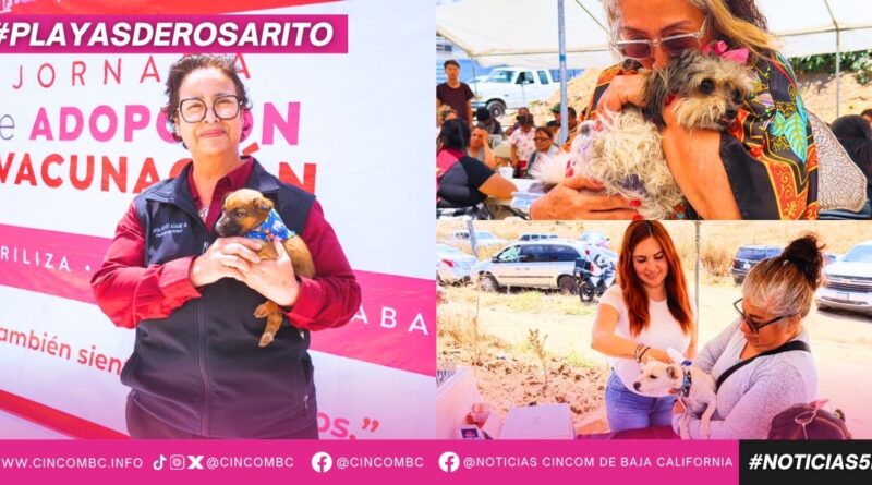 Gobierno de Playas de Rosarito fortalece acciones de protección y bienestar animal