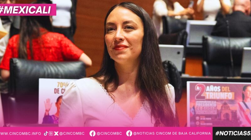 Julieta Ramírez propone candado legal para evitar despido de mujeres embarazadas Julieta Ramírez propone candado legal para evitar despido de mujeres embarazadas