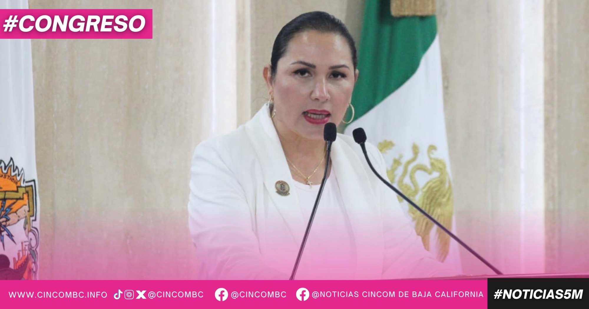 EXHORTA DIPUTADA ARACELI GERALDO A IMPULSAR USO DE ENERGÍA SOLAR EN EDIFICIOS PÚBLICOS Y ESCUELAS