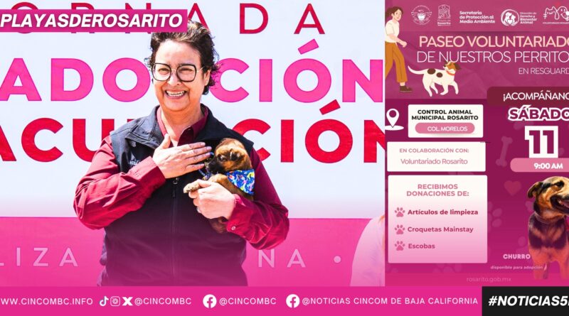 Invita Gobierno Municipal a participar en el Paseo Voluntariado de Perritos en Resguardo