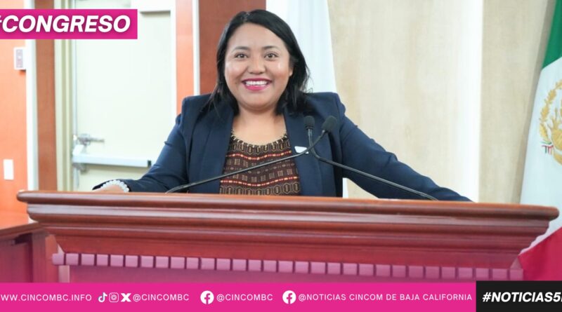 PROPONEN DIPUTADA EVELYN SÁNCHEZ AMPLIAR PROTECCIÓN LEGAL PARA VÍCTIMAS DE VIOLENCIA DE GÉNERO