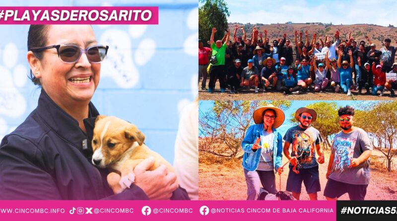 Gobierno de Playas de Rosarito fortalece el bienestar animal con paseo para perritos del Centro de Atención Municipal Gobierno de Playas de Rosarito fortalece el bienestar animal con paseo para perritos del Centro de Atención Municipal