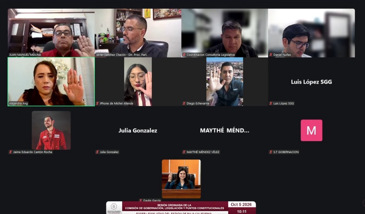 RESPALDAN EN COMISIÓN DE GOBERNACIÓN PROYECTOS SOBRE SEGURIDAD, PROTECCIÓN DE DATOS Y SALUD