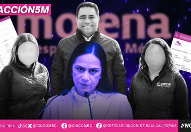 EN MORENA RECHAZAMOS A LOS NEPOTISTAS: ARIADNA MONTIEL
