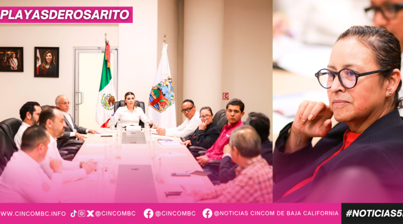 Presidenta Rocio Adame da seguimiento al mantenimiento de la red eléctrica en Playas de Rosarito y la región